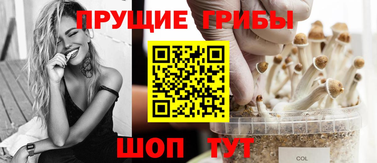 Галлюциногенные грибы Cubensis  Псилоцибиновые грибы Magic Shrooms  Вход с VPN  Алапаевск 